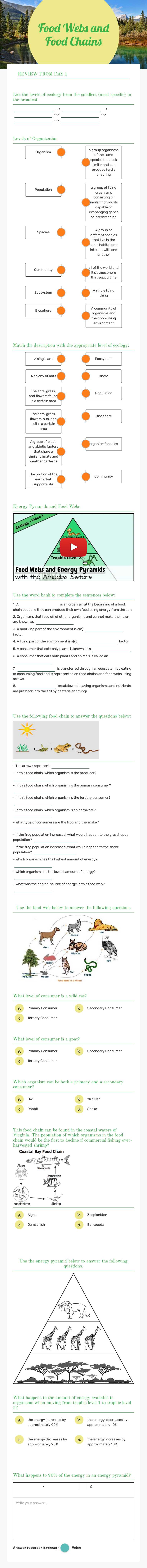 Food Webs and Food Chains worksheet preview image