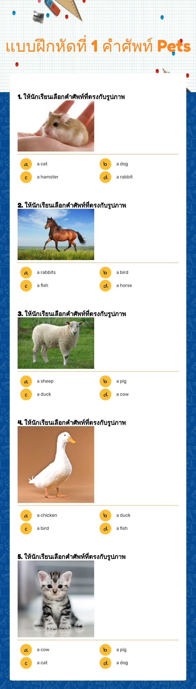 แบบฝึกหัดที่ 1 
คำศัพท์ Pets worksheet preview