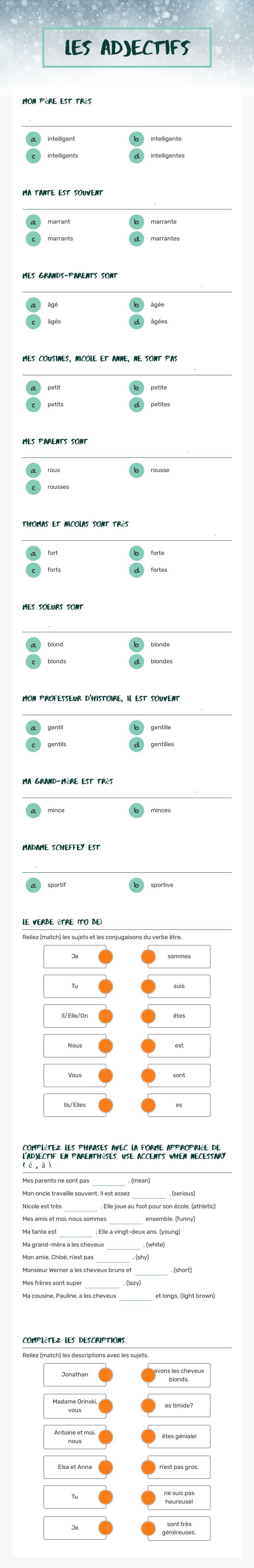 Les Adjectifs worksheet preview image