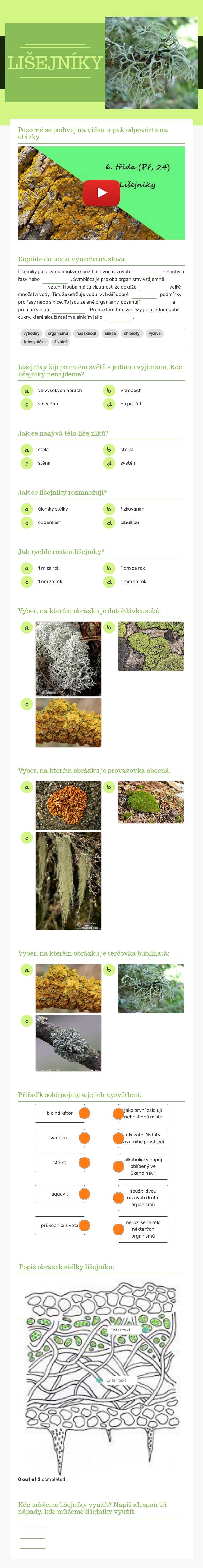 LIŠEJNÍKY worksheet preview image