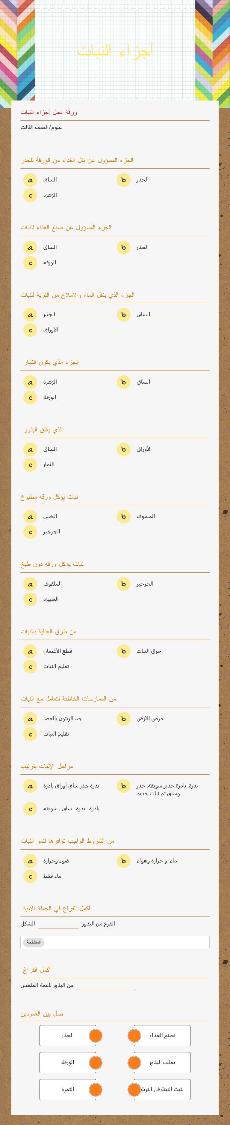 أجزاء النبات worksheet preview image