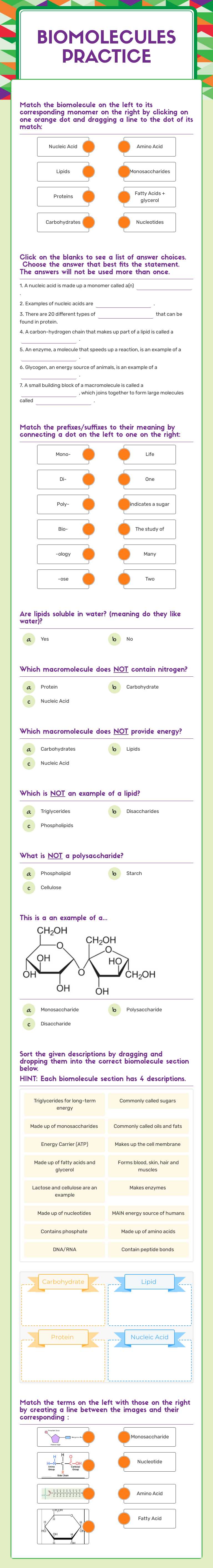 Biomolecules
PRACTICE Grade 9 worksheet preview