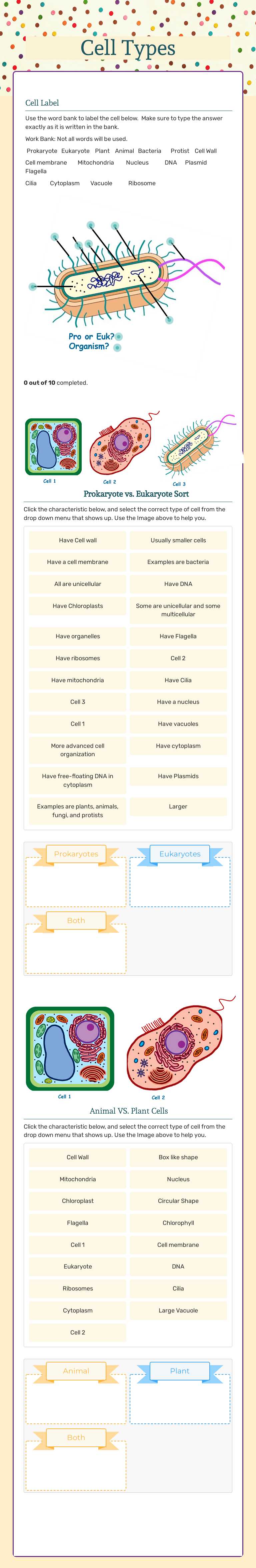 Learn about cell types! Label diagrams and compare prokaryotic ...