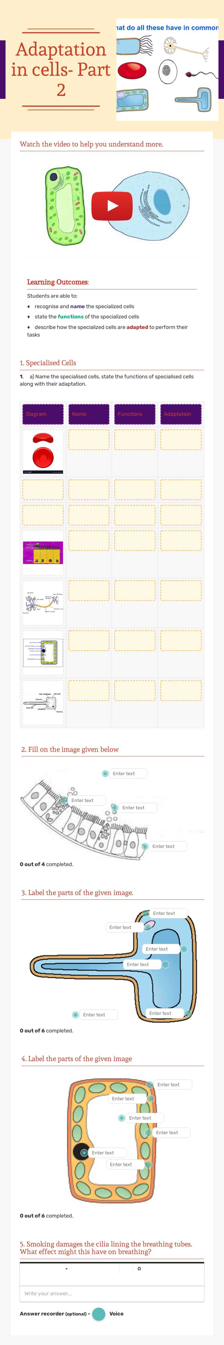 Adaptation in cells- Part 2 Grade 6 worksheet preview