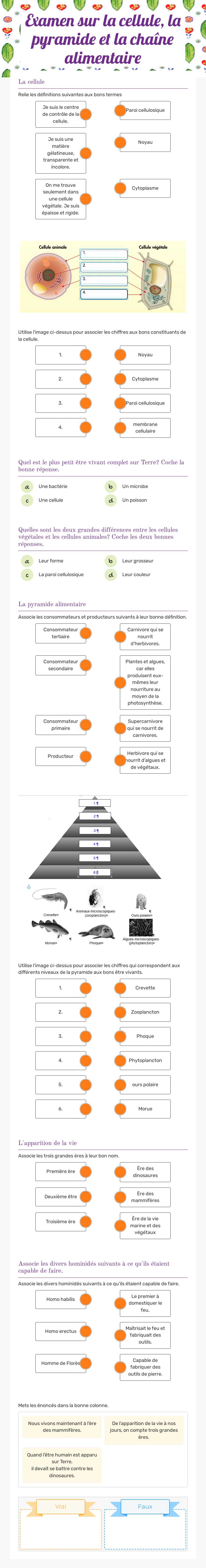 Examen sur la cellule, la pyramide et la chaîne alimentaire by Isabelle ...