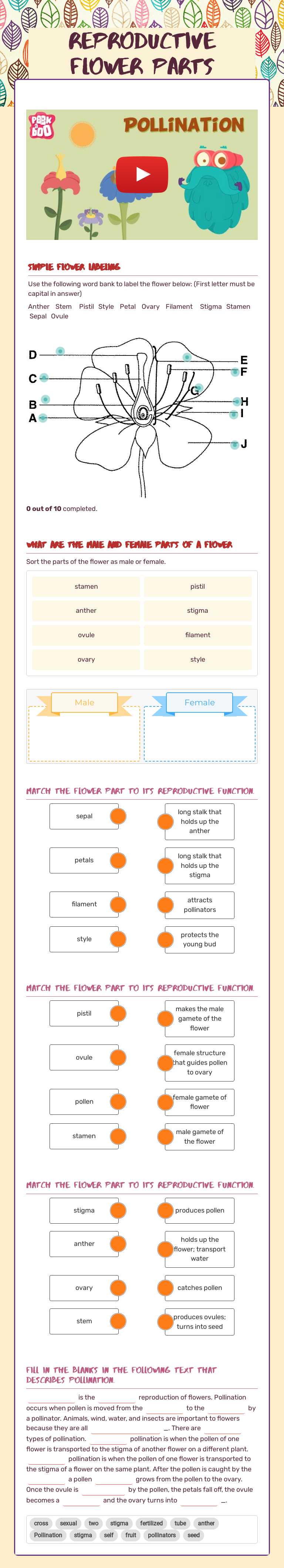Reproductive Flower Parts worksheet preview image