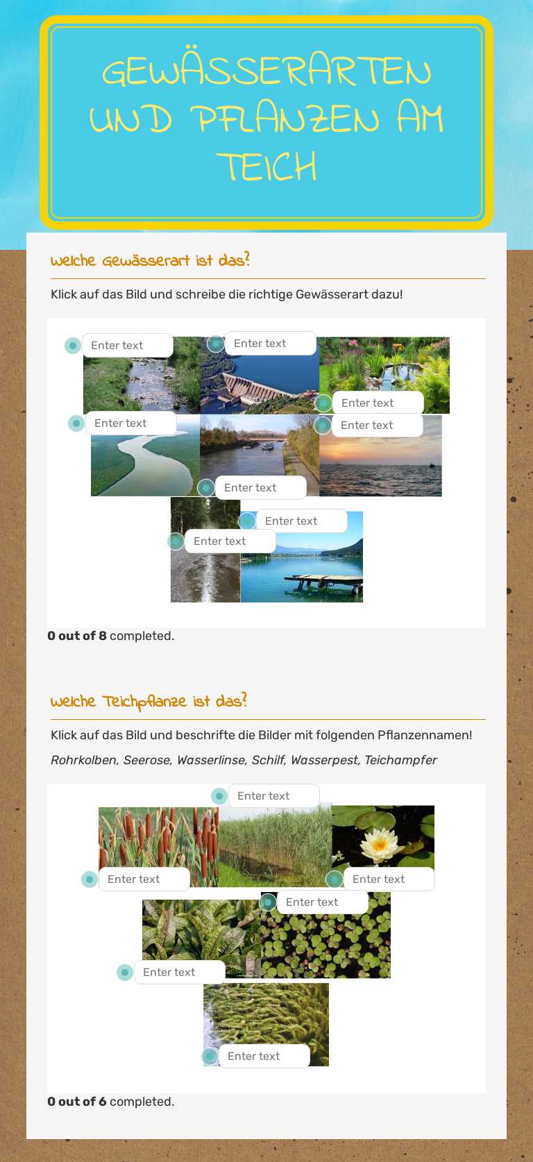 Gewässerarten und Pflanzen am Teich worksheet preview image