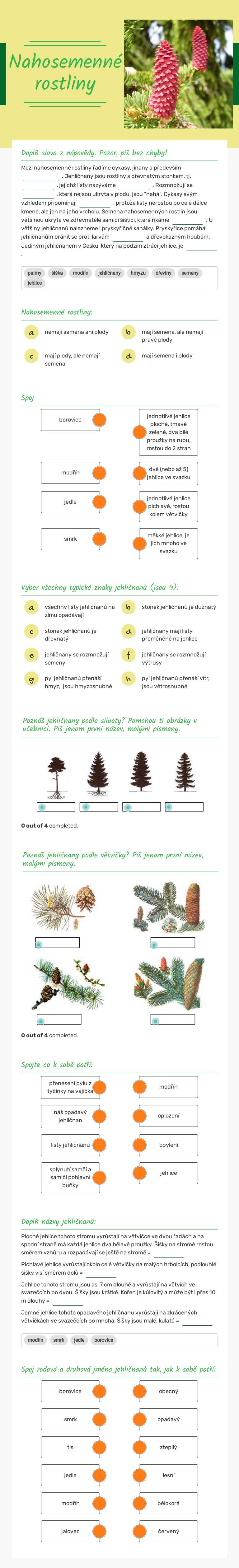 Nahosemenné rostliny worksheet preview image