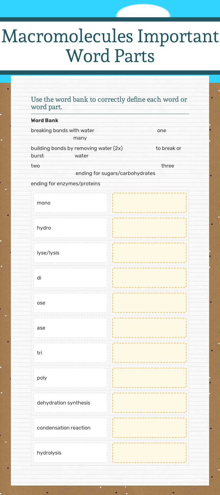 Macromolecules
Important Word Parts worksheet preview image