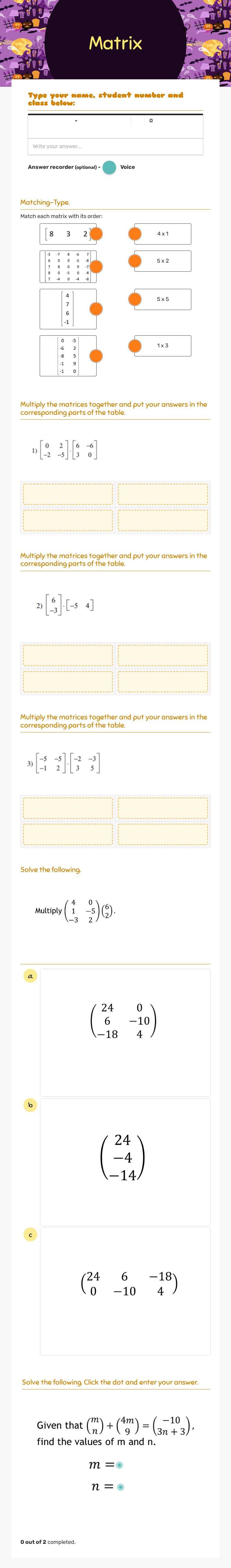 Matrix worksheet preview image