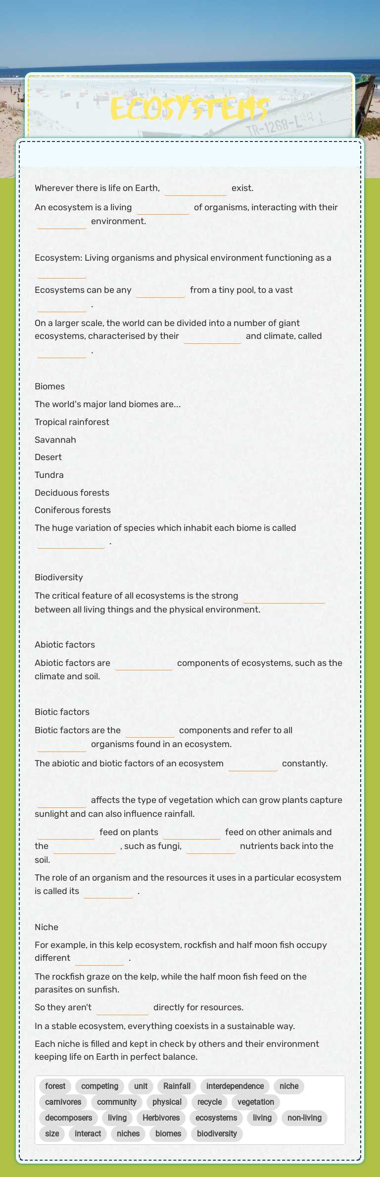 ECOSYSTEMS worksheet preview image