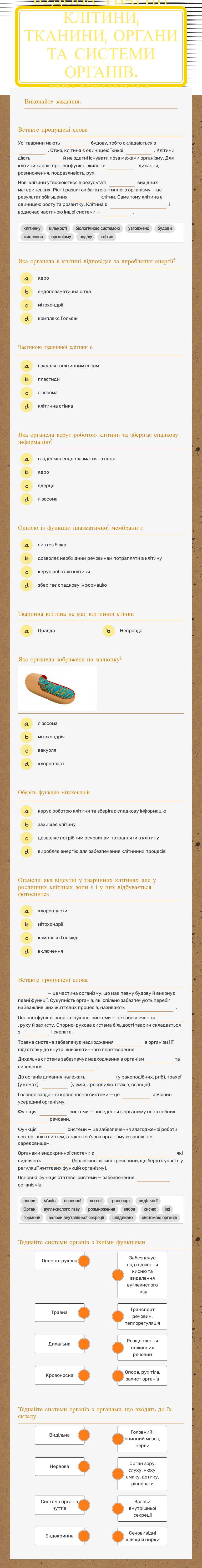 Будова тварин: Клітини, тканини, органи та системи органів. Практикум. worksheet preview image