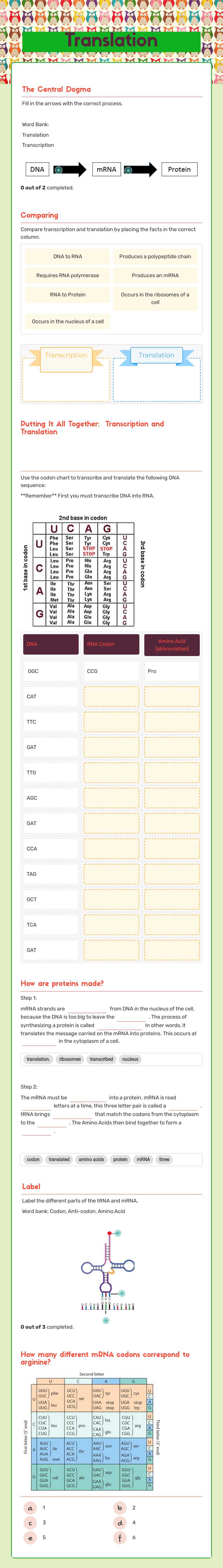 Translation worksheet preview image