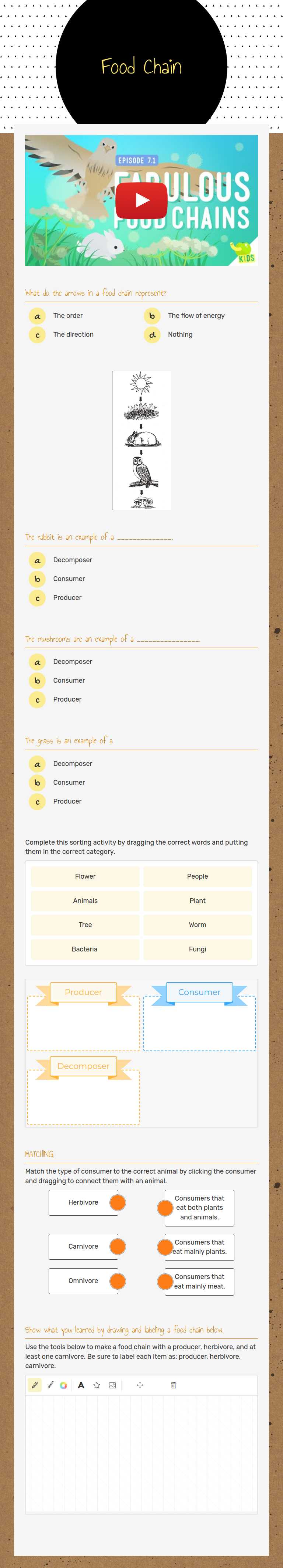 Food Chain worksheet preview image