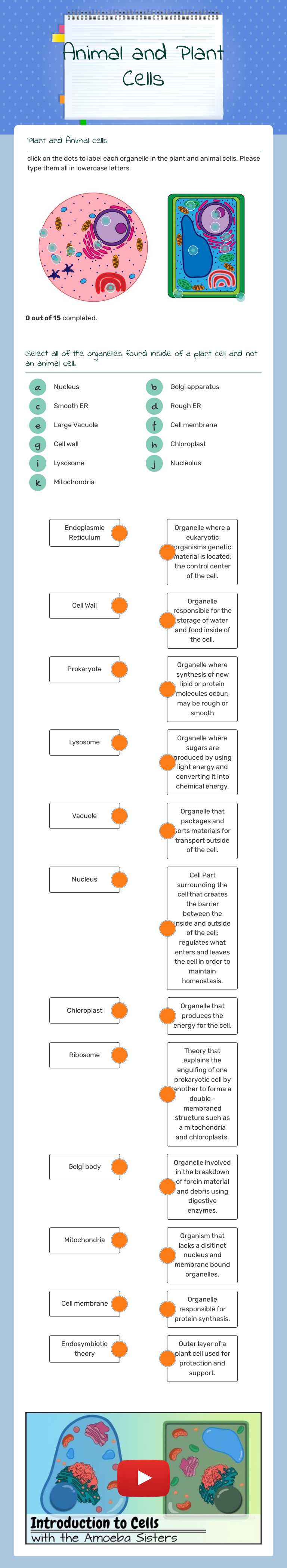 Animal and Plant Cells Reteaching Grade 10 worksheet preview