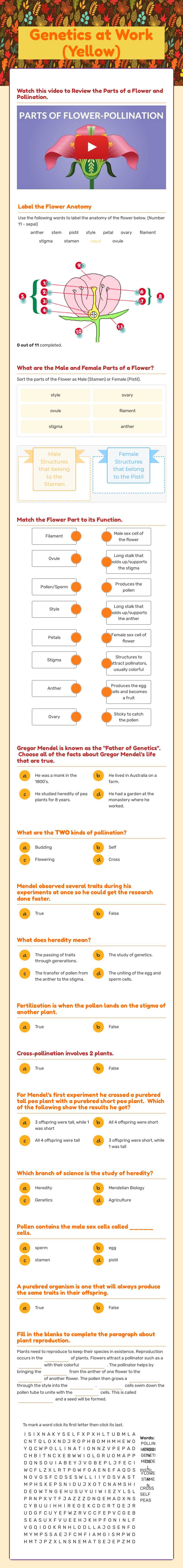 Genetics at Work  (Yellow) worksheet preview image