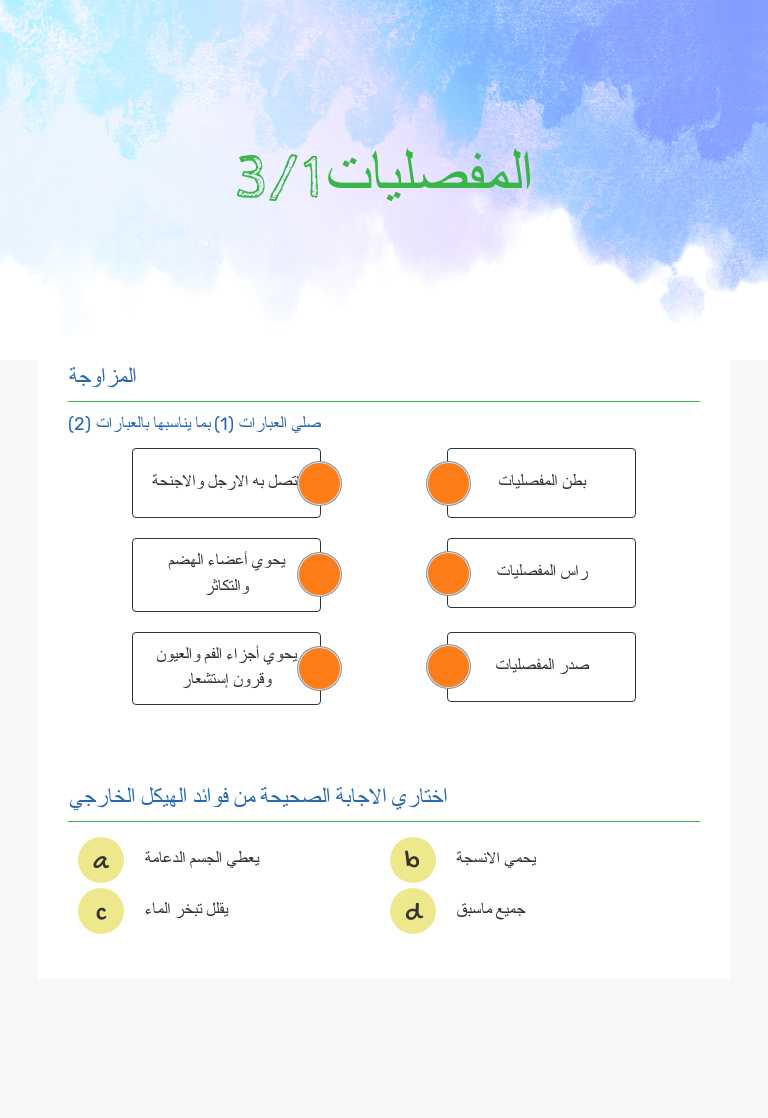 المفصليات3/1 worksheet preview image