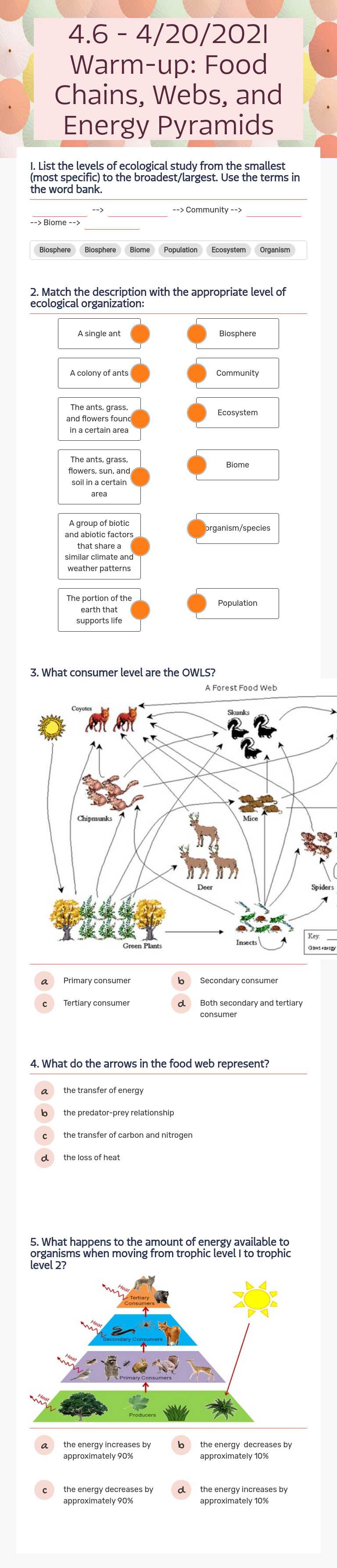 4.6 - 4/20/2021 Warm-up: Food Chains, Webs, and Energy Pyramids Grade 10 worksheet preview