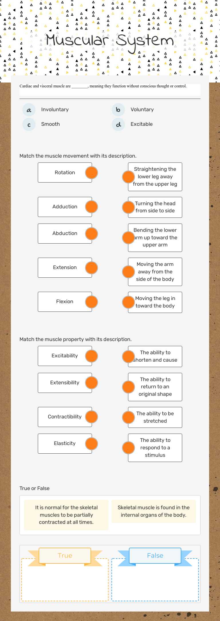 Muscular System Grade 10 worksheet preview