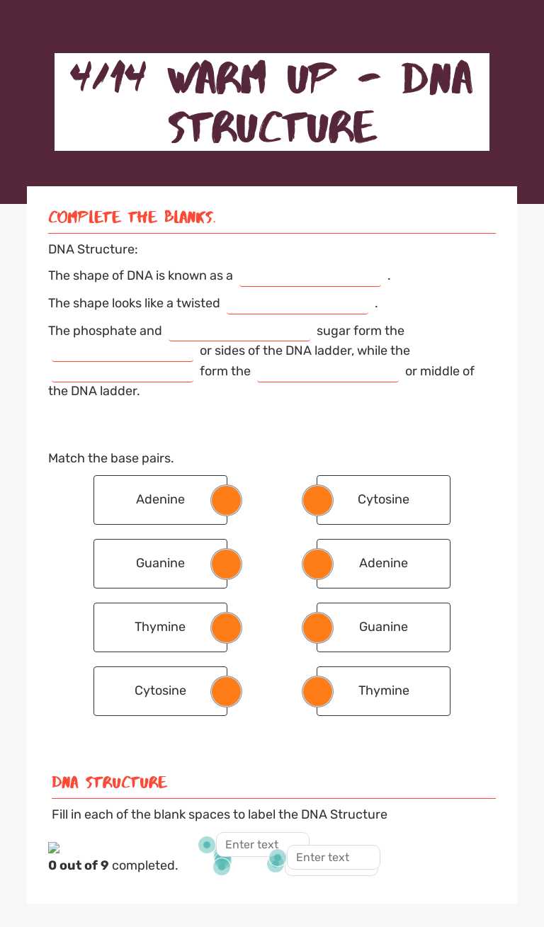 4/14 Warm up - DNA Structure worksheet preview image