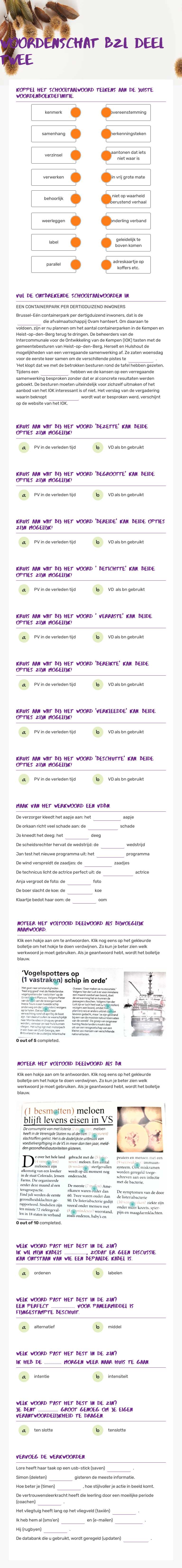 woordenschat BZL deel twee Grade 10 worksheet preview