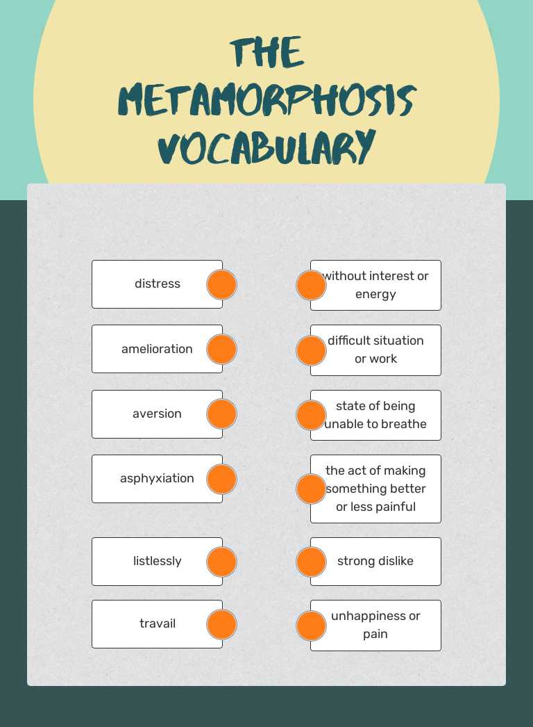 The Metamorphosis Vocabulary worksheet preview image