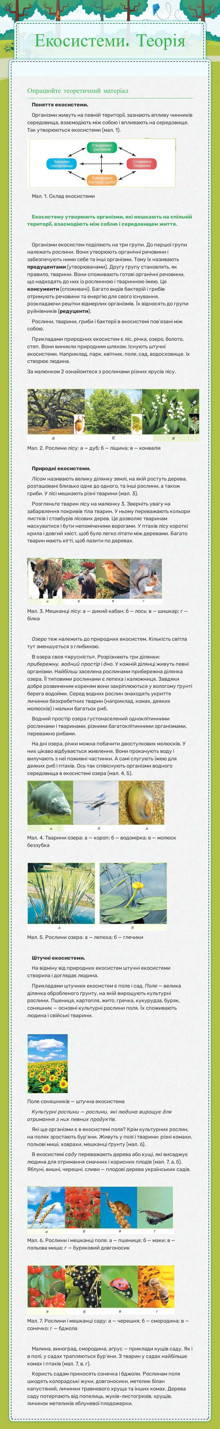 Екосистеми. Теорія worksheet preview image