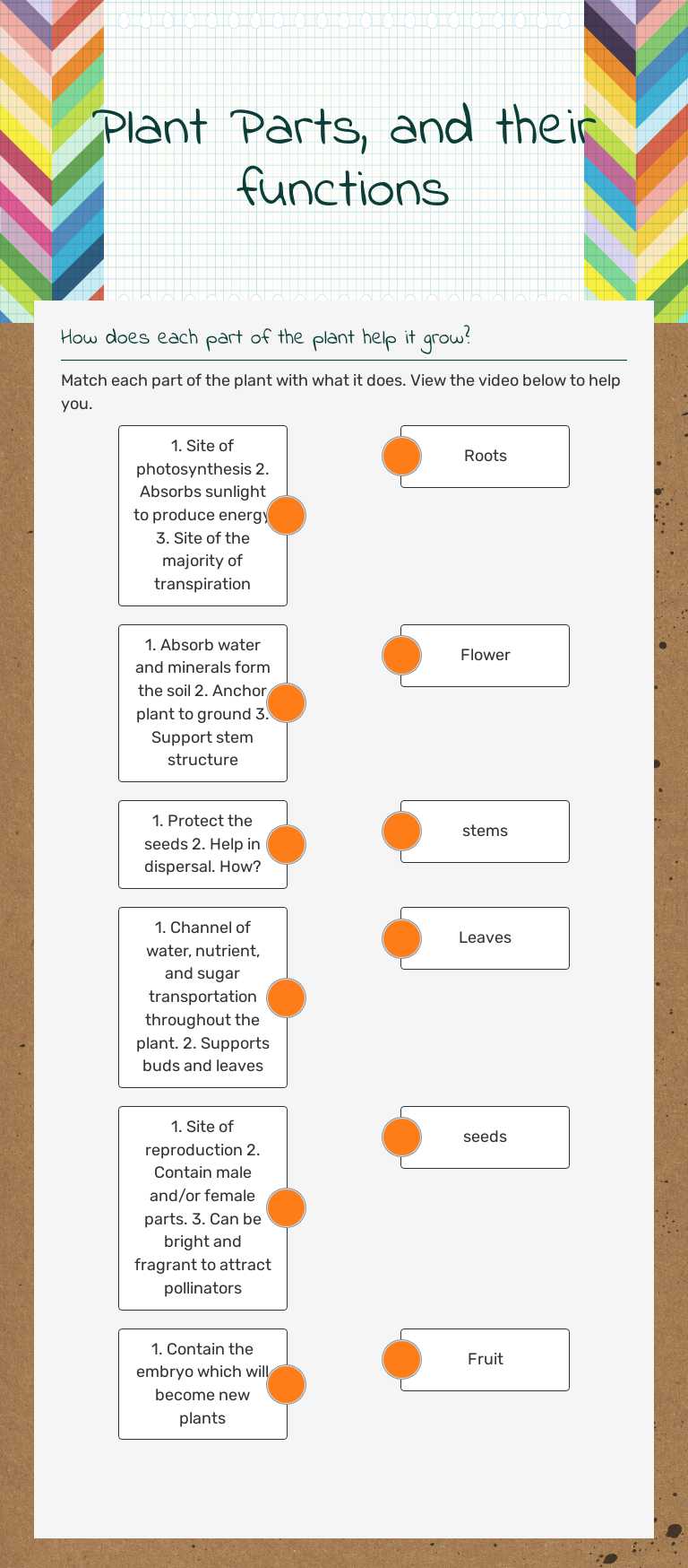 Plant Parts, and their functions Grade 6 worksheet preview