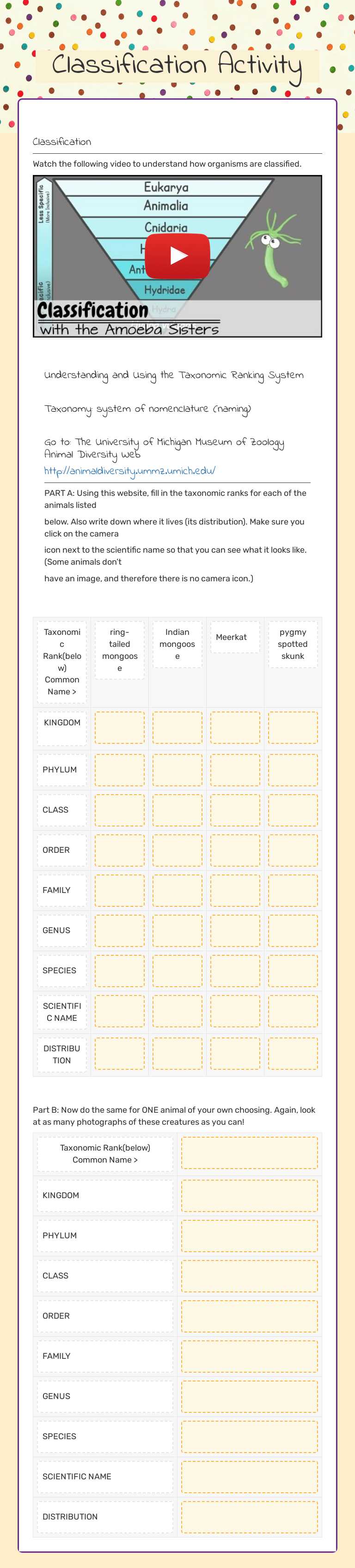 Classification Activity worksheet preview image
