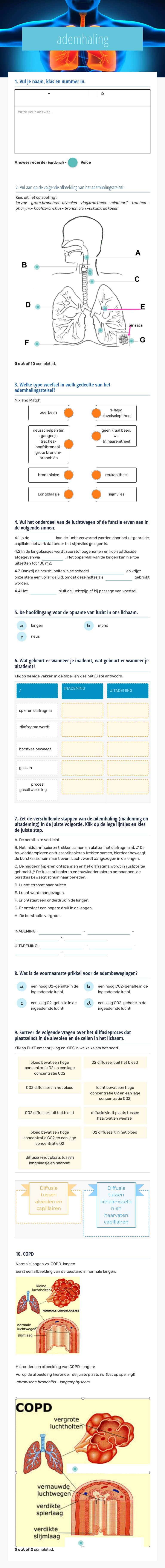 ademhaling worksheet preview image