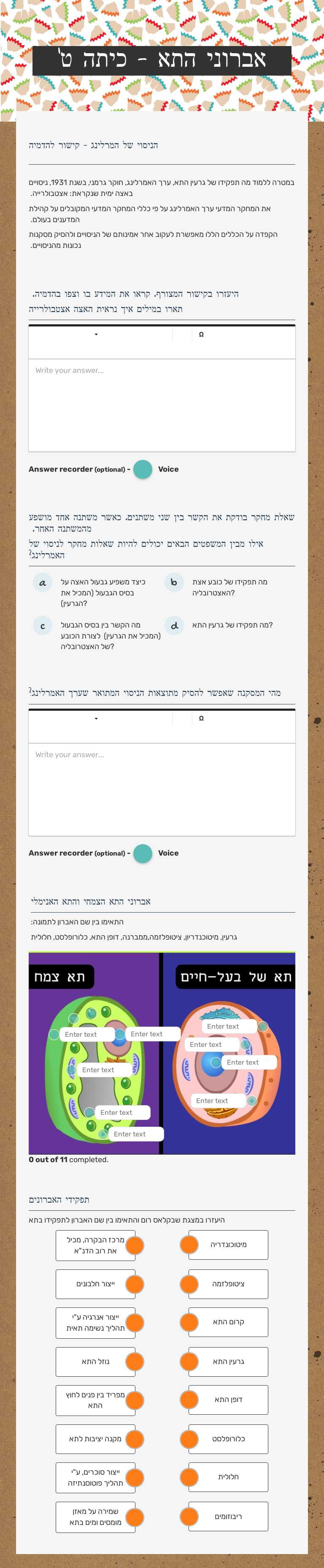 אברוני התא - כיתה ט' worksheet preview image