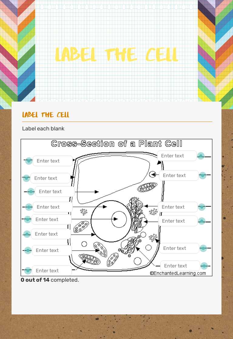 Label the Cell worksheet preview image