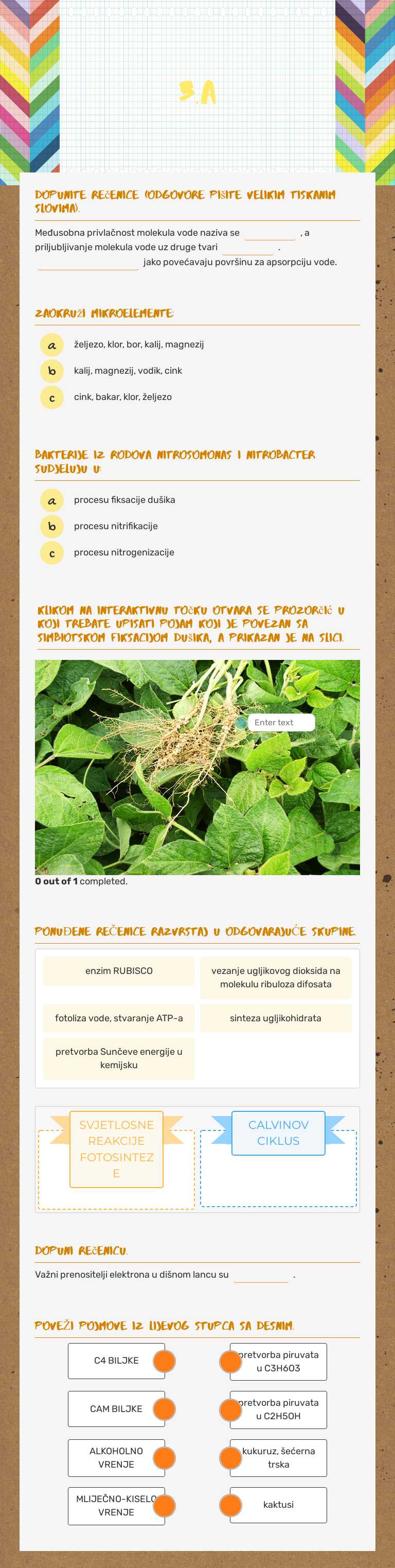 3.a worksheet preview image