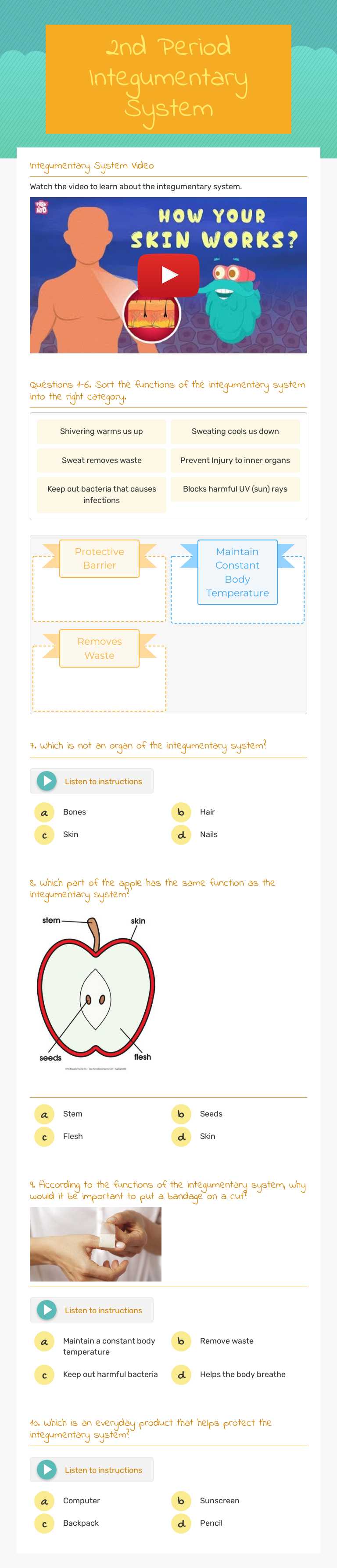 2nd Period Integumentary System worksheet preview image