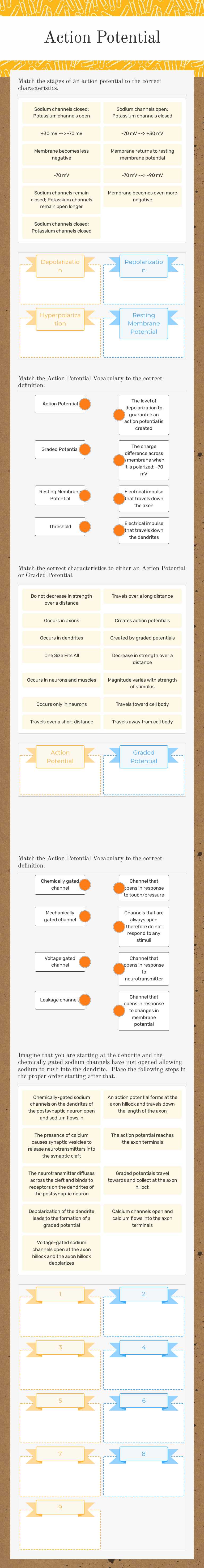 Action Potential worksheet preview image