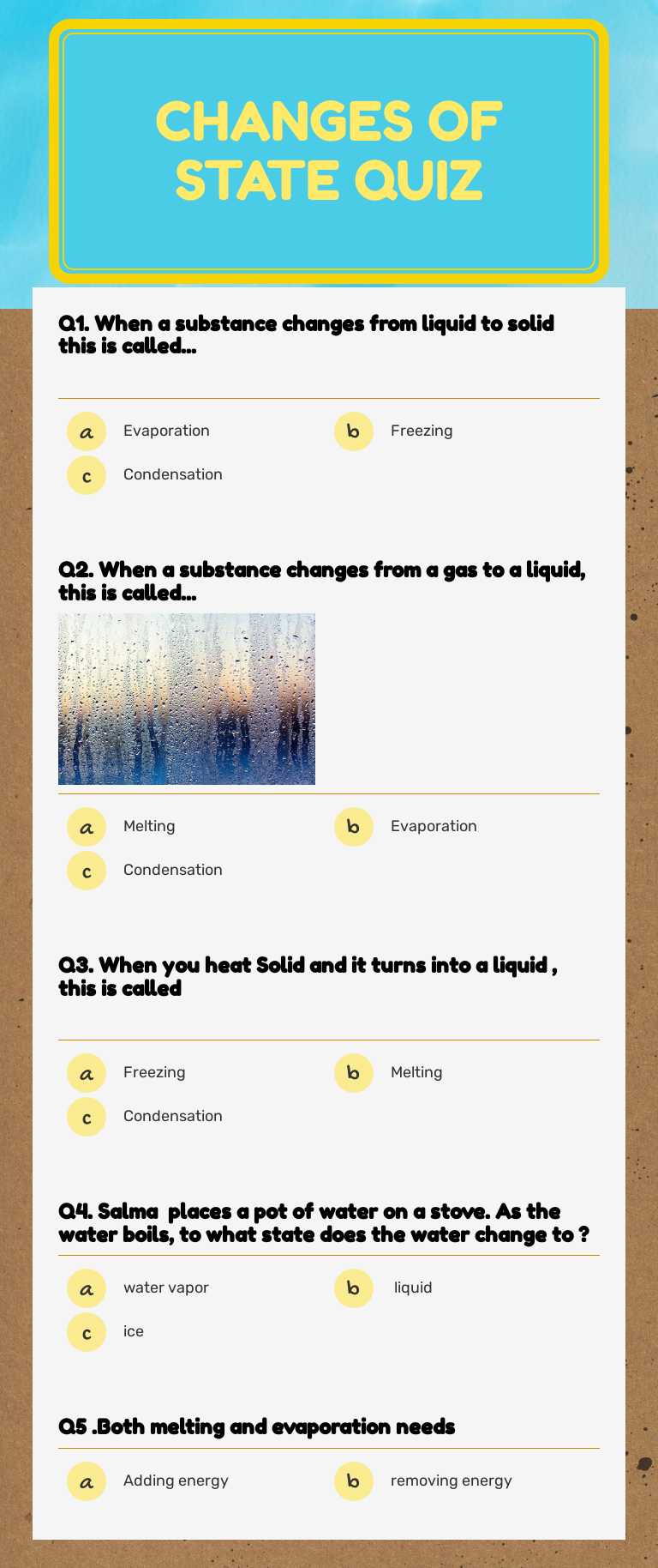 Changes of state quiz worksheet preview image