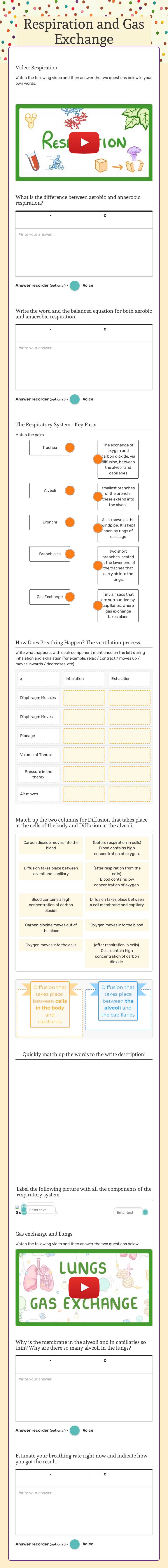 Respiration and Gas Exchange worksheet preview image