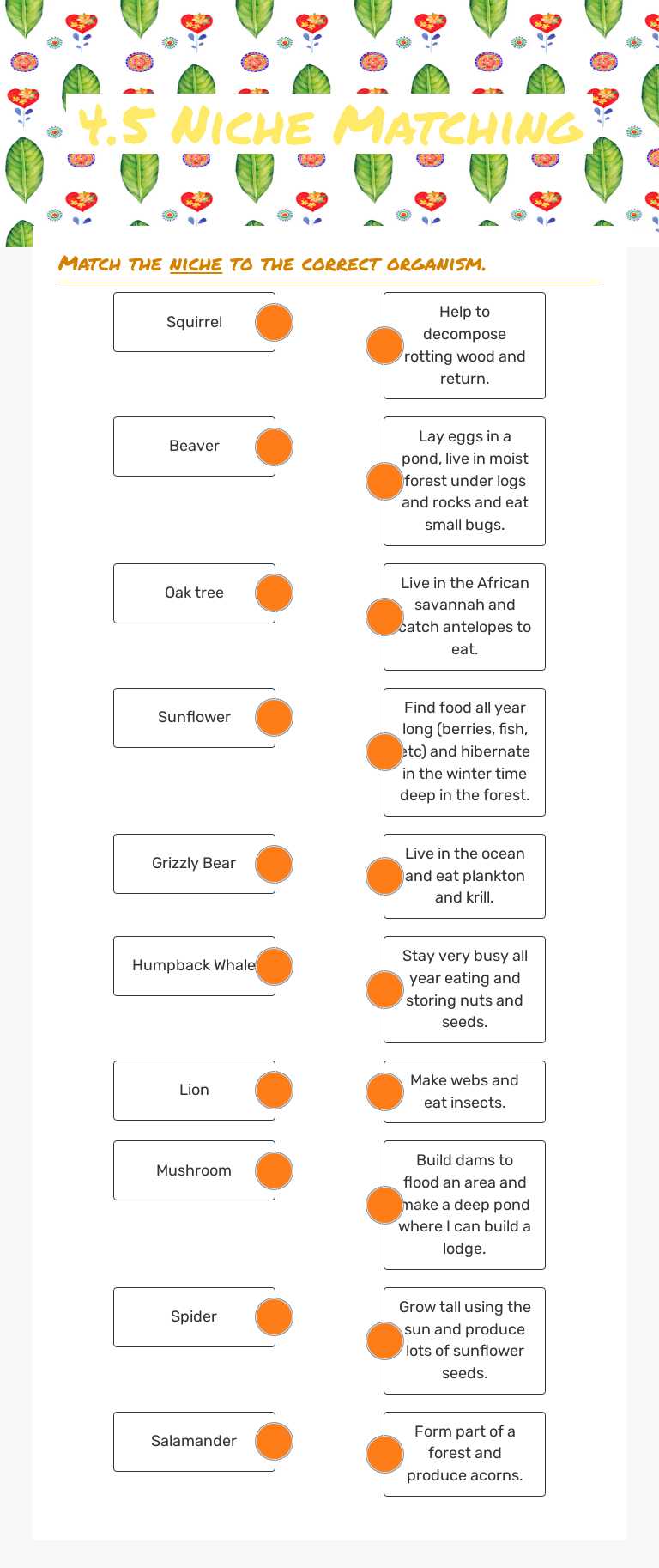 4.5 Niche Matching worksheet preview image