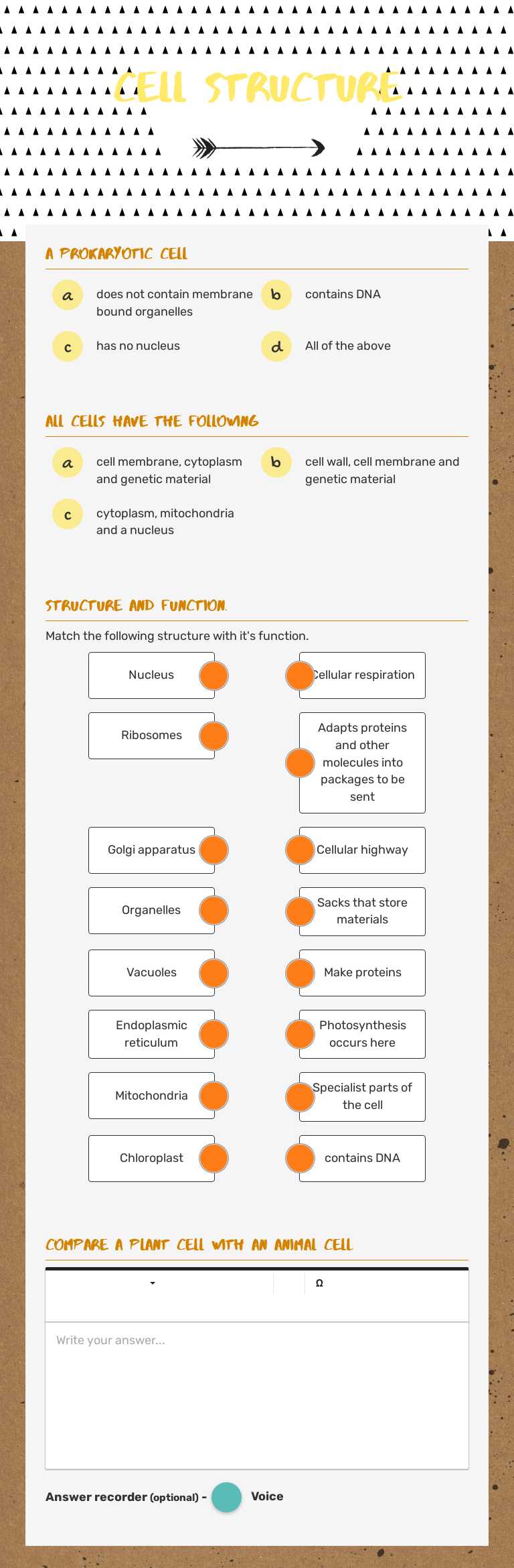 Cell structure worksheet preview