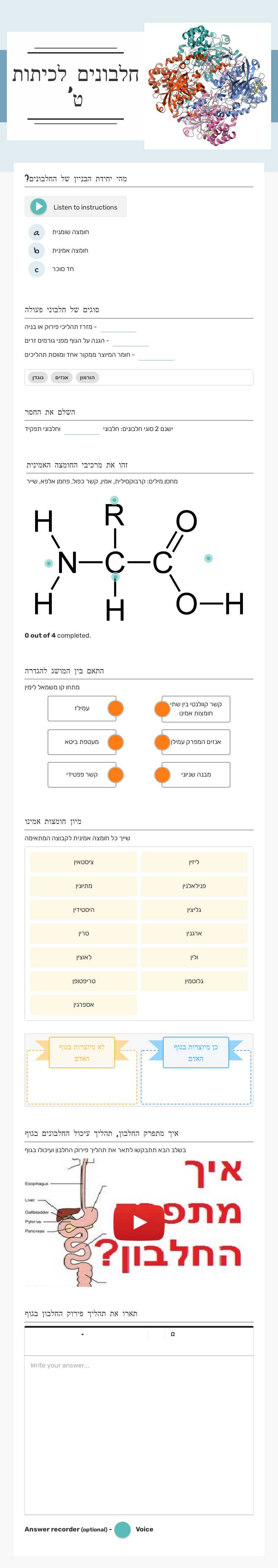 חלבונים לכיתות ט' worksheet preview image