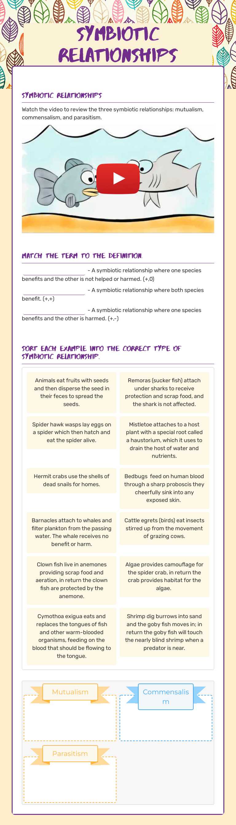Symbiotic Relationships Grade 8 worksheet preview