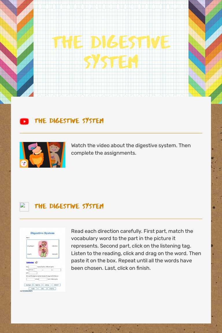 The digestive system worksheet preview image