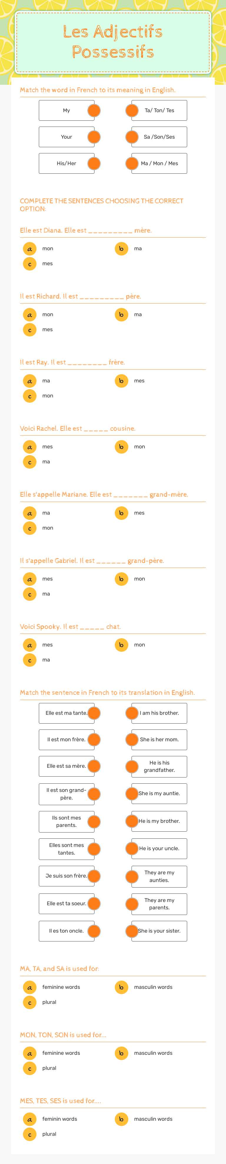 Les Adjectifs Possessifs worksheet preview