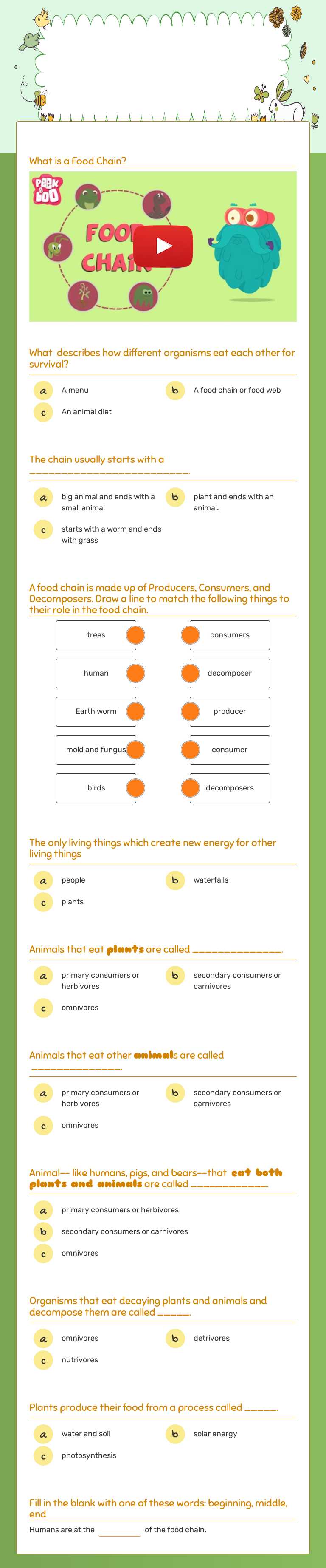 Food Chains worksheet preview image