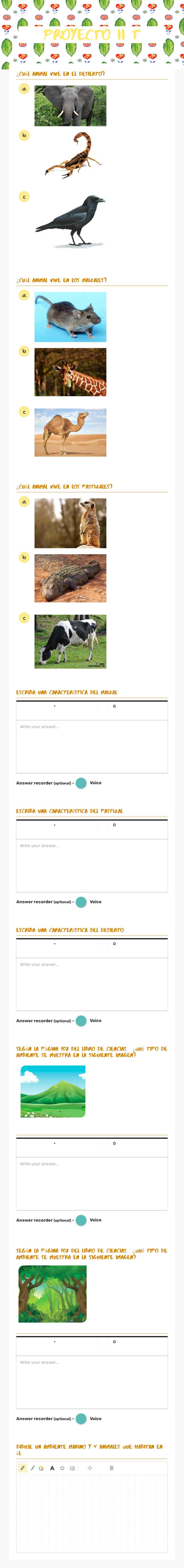Proyecto II T worksheet preview image