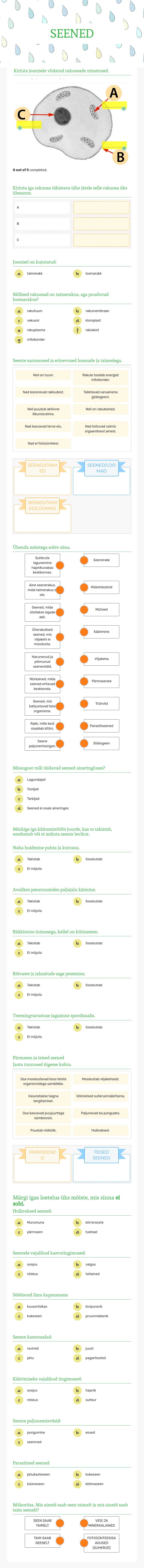 SEENED Grade 8 worksheet preview