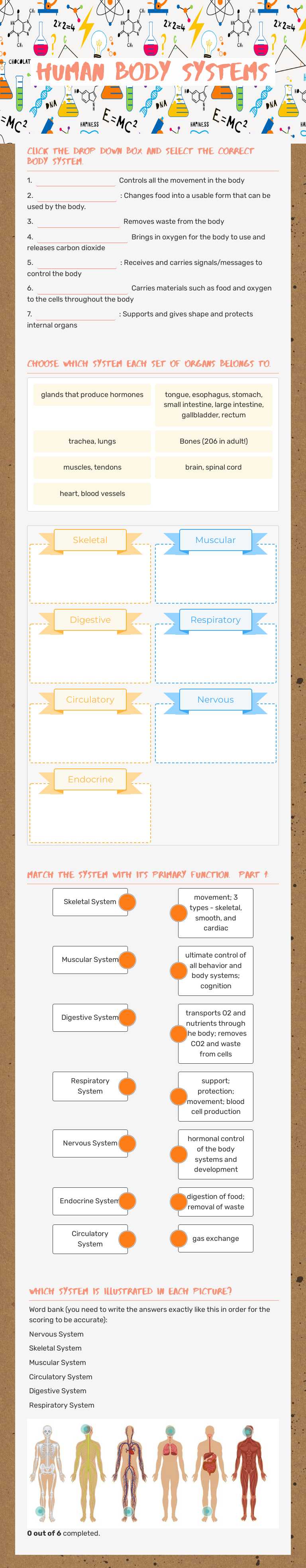 Human Body systems worksheet preview image