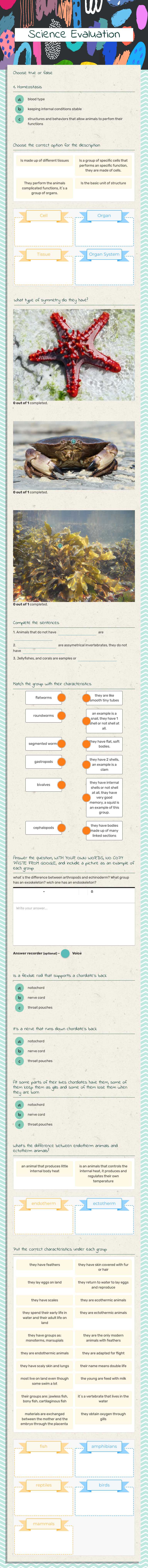 Science Evaluation worksheet preview image