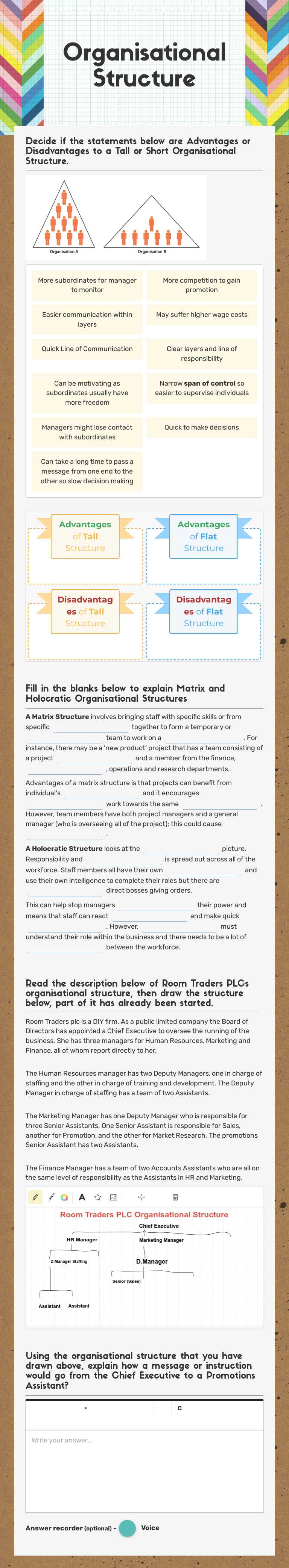 Organisational Structure Grade 11 worksheet preview