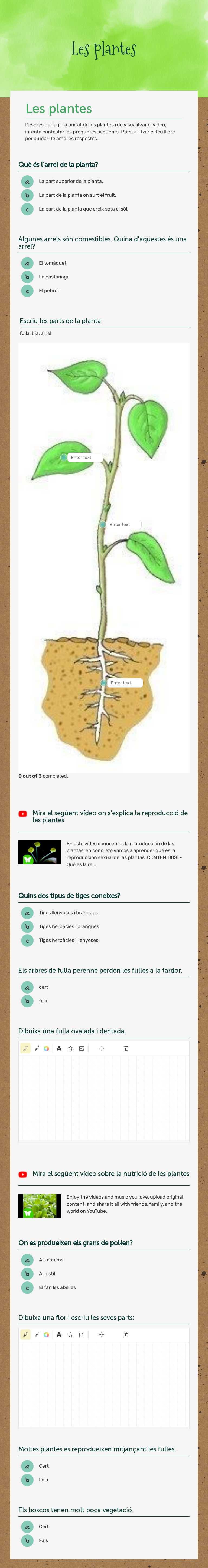 Les plantes worksheet preview image